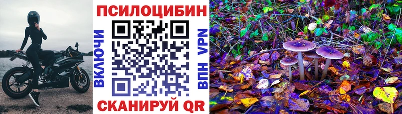 shop какой сайт  цены наркотик  Томилино  Галлюциногенные грибы Cubensis 